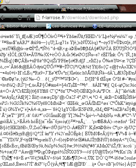 bug-phpboost